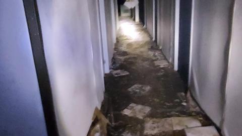 Trucka and more trucks - 20201205_182128.jpg