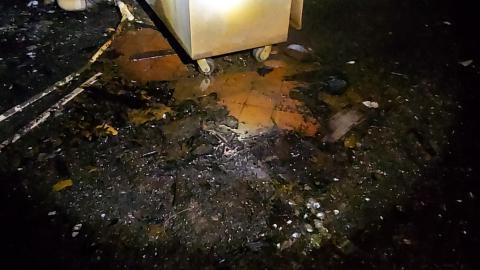 Roofs scare me - 20201205_172834.jpg