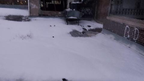 Roofs scare me - 20201205_172143.jpg