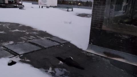 Roofs scare me - 20201205_172113.jpg