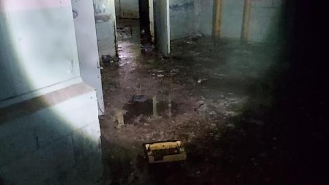 Roofs scare me - 20201205_171715.jpg