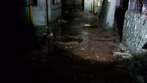 Roofs scare me - 20201205_171706.jpg