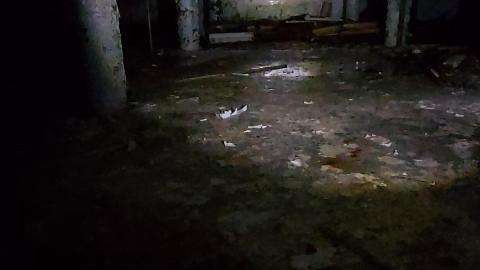 Roofs scare me - 20201205_171602.jpg