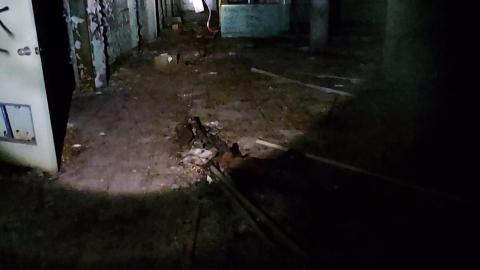 Roofs scare me - 20201205_171505.jpg