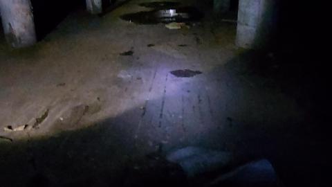 Roofs scare me - 20201205_170713.jpg