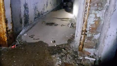 Roofs scare me - 20201205_170322.jpg