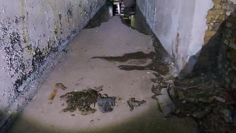 Roofs scare me - 20201205_170309.jpg