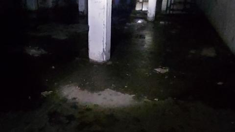 Roofs scare me - 20201205_170128.jpg