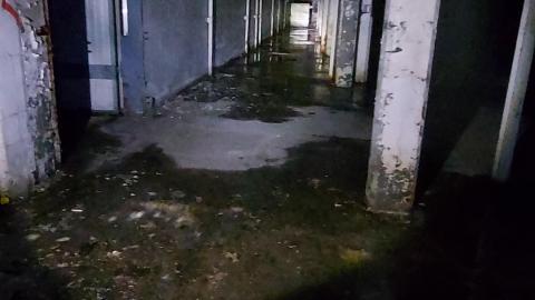 Roofs scare me - 20201205_170052.jpg