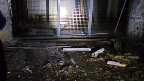 Roofs scare me - 20201205_170028.jpg