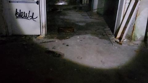 Roofs scare me - 20201205_165739.jpg