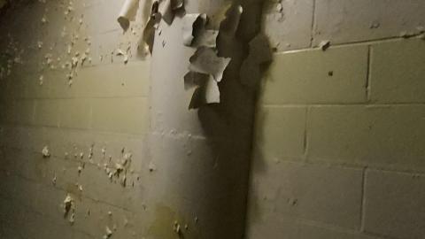 Roofs scare me - 20201205_165205.jpg