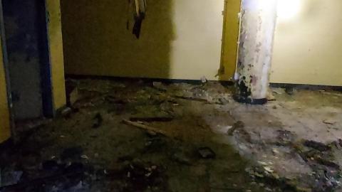 Roofs scare me - 20201205_164713.jpg