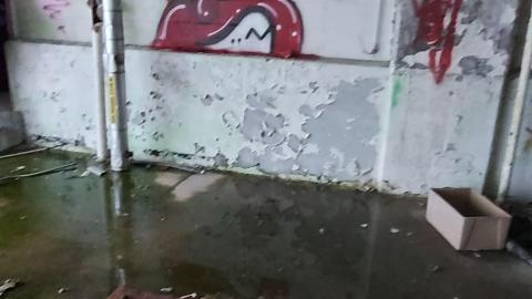 Roofs scare me - 20201205_164552.jpg