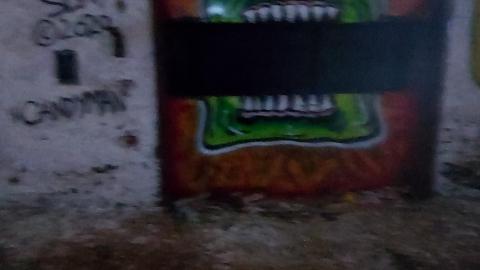 Roofs scare me - 20201205_164344.jpg