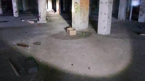 Roofs scare me - 20201205_163913.jpg