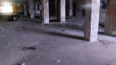 Roofs scare me - 20201205_163901.jpg