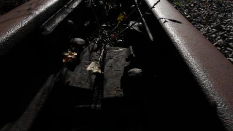 21 Hours L8er (+2months) - IMG_5975 shooped.jpg