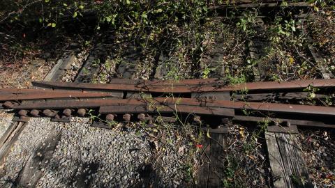 21 Hours L8er (+2months) - IMG_5974 shooped.jpg