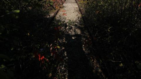 21 Hours L8er (+2months) - IMG_5970 shooped.jpg