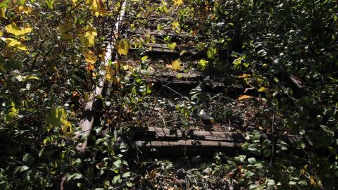 21 Hours L8er (+2months) - IMG_5969 shooped.jpg