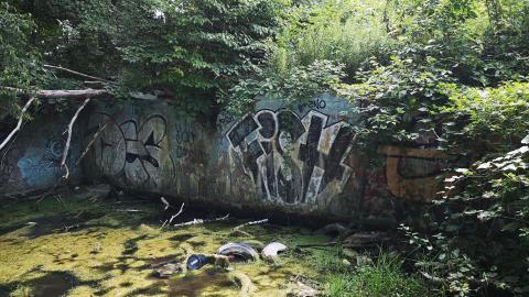 Photo from Not *completely* Demolished