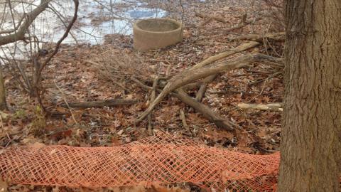 2020-12-06 - IMG_2659.JPG