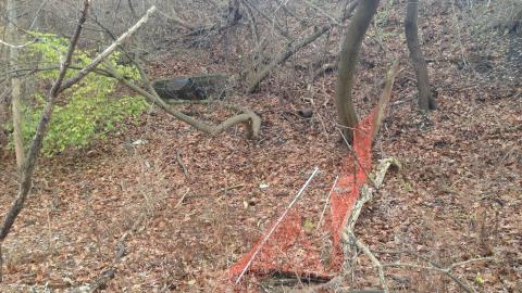 2020-12-06 - IMG_2660.JPG