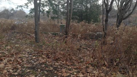 2020-12-06 - IMG_2662.JPG