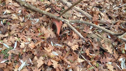 2020-12-06 - IMG_2663.JPG