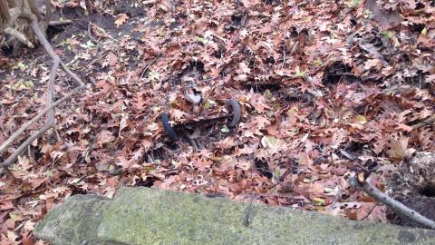 2020-12-06 - IMG_2665.JPG