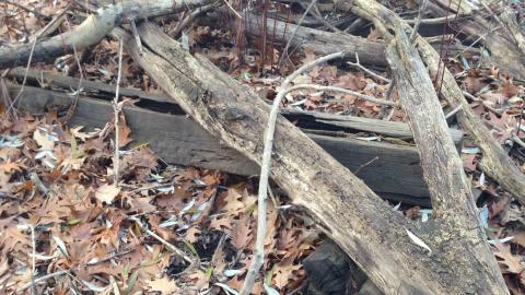 Photo from 2020-12-06