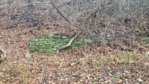 2020-12-06 - IMG_2681.JPG