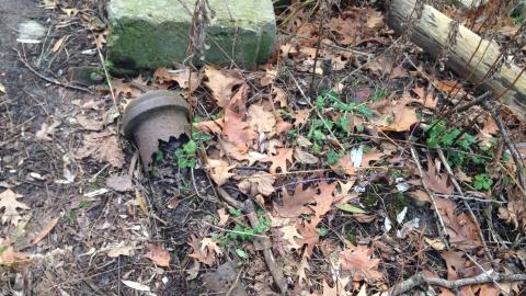 Photo from 2020-12-06