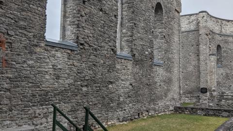 St. Raphael's Ruins - Dec 5 2020 - 9.jpg