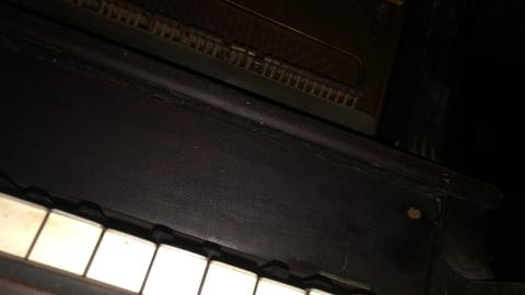 Photo from 6 and Campbelville December 2020