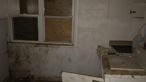 Photo from 6 and Campbelville December 2020