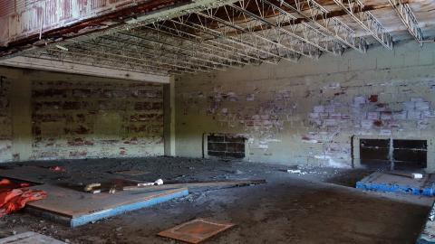 Butterfly Hospital May '20 - DSC01384.JPG