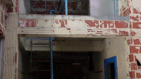 Butterfly Hospital May '20 - DSC01386.JPG