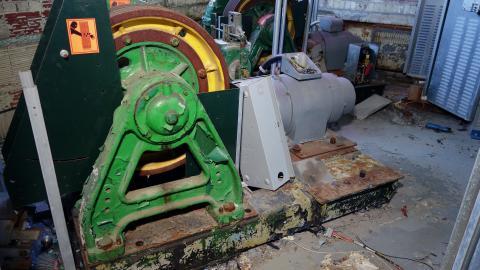 Butterfly Hospital May '20 - DSC01391.JPG