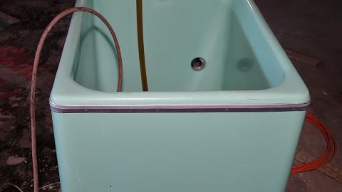 Butterfly Hospital May '20 - DSC01404.JPG