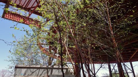 Butterfly Hospital May '20 - DSC01427.JPG