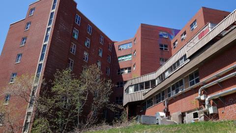 Butterfly Hospital May '20 - DSC01434.JPG