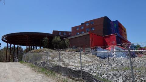 Butterfly Hospital May '20 - DSC01435.JPG