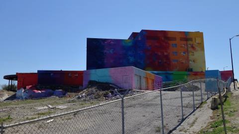 Butterfly Hospital May '20 - DSC01439.JPG