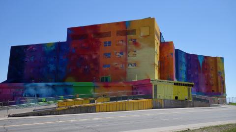 Butterfly Hospital May '20 - DSC01442.JPG