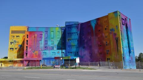 Butterfly Hospital May '20 - DSC01446.JPG