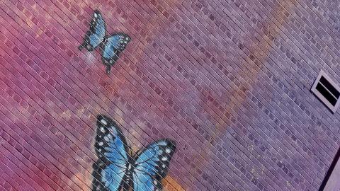 Photo from Butterfly Hospital May '20