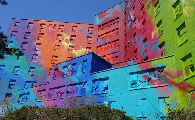 Butterfly Hospital May '20 - DSC01315.JPG