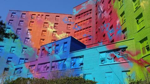 Butterfly Hospital May '20 - DSC01315.JPG